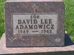 David Lee Adamowicz 