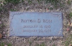 Payton D Rose 