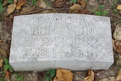 David A. Feinstein 
