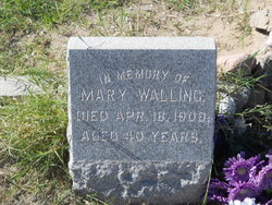 Mary Elizabeth <I>Johnson</I> Walling 
