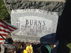 Albert J Burns 