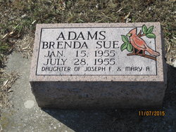 Brenda Sue Adams 