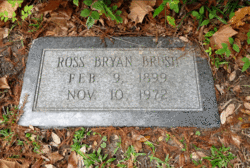 Ross Bryan Brush 