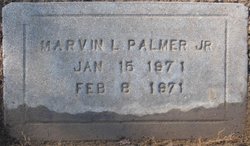 Marvin L Palmer Jr.