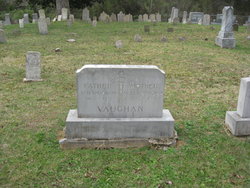 Mollie <I>Anderson</I> Vaughan 