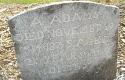 A Adams 