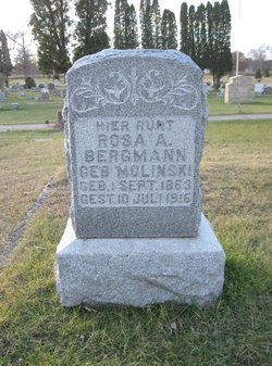 Rosa Anna <I>Molinski</I> Bergman 