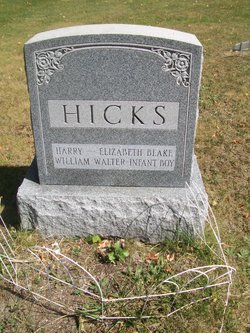 Harry Millard Hicks 
