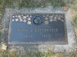 Tony J Bestervelt 