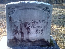 Mary Elizabeth <I>Everitt</I> Gatling 