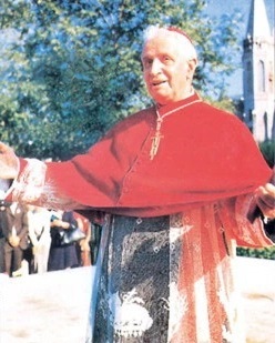 Cardinal Michele Pellegrino 