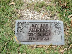 Joy Lee Aldridge 