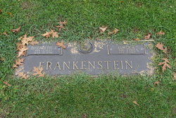 Elmer R. Frankenstein 