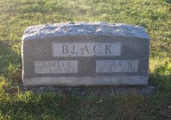 Zula Merlee <I>Bush</I> Black 