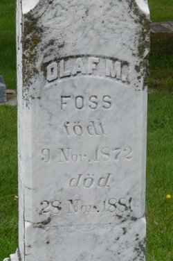 Olaf M. Foss 