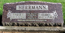 Rose <I>Dirkman</I> Herrmann 