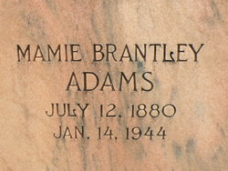 Mamie <I>Brantley</I> Adams 