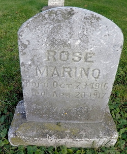 Rose Marino 