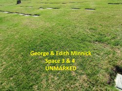 Edith Sarah <I>Tamlin</I> Minnick 