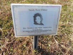 Sandy Mary Wilber 