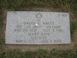 David L Hayes 