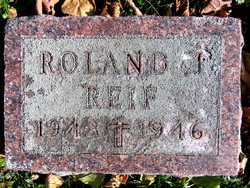 Roland J Reif 