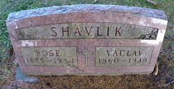 Vaclav Shavlik 