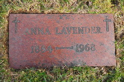 Anna Lavender 