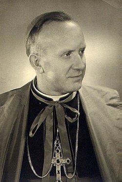 Cardinal José Clemente Maurer 