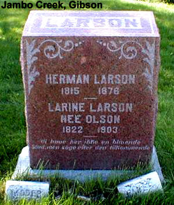 Larine <I>Olson</I> Larson 