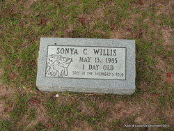 Sonya C Willis 