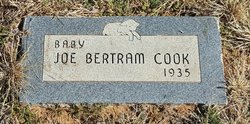 Joe Bertram Cook 