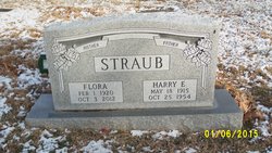 Harry Elmer Straub 