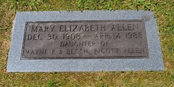Mary Elizabeth Allen 