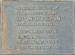 Dylon Doulton 