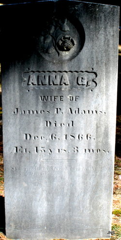 Anna G Adams 
