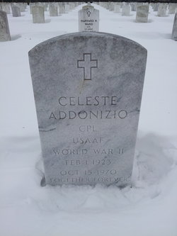 Celeste Addonizio 