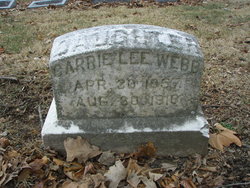 Carrie Lee Webb 