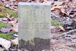 Amelia <I>Childress</I> Goodwin 