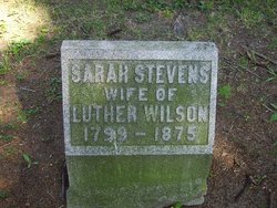 Sarah <I>Stevens</I> Wilson 