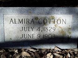 Almira Cotton 