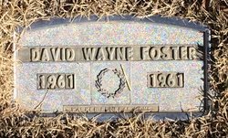 David Wayne Foster 