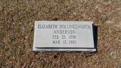 Elizabeth Folk <I>Hollingsworth</I> Anderson 