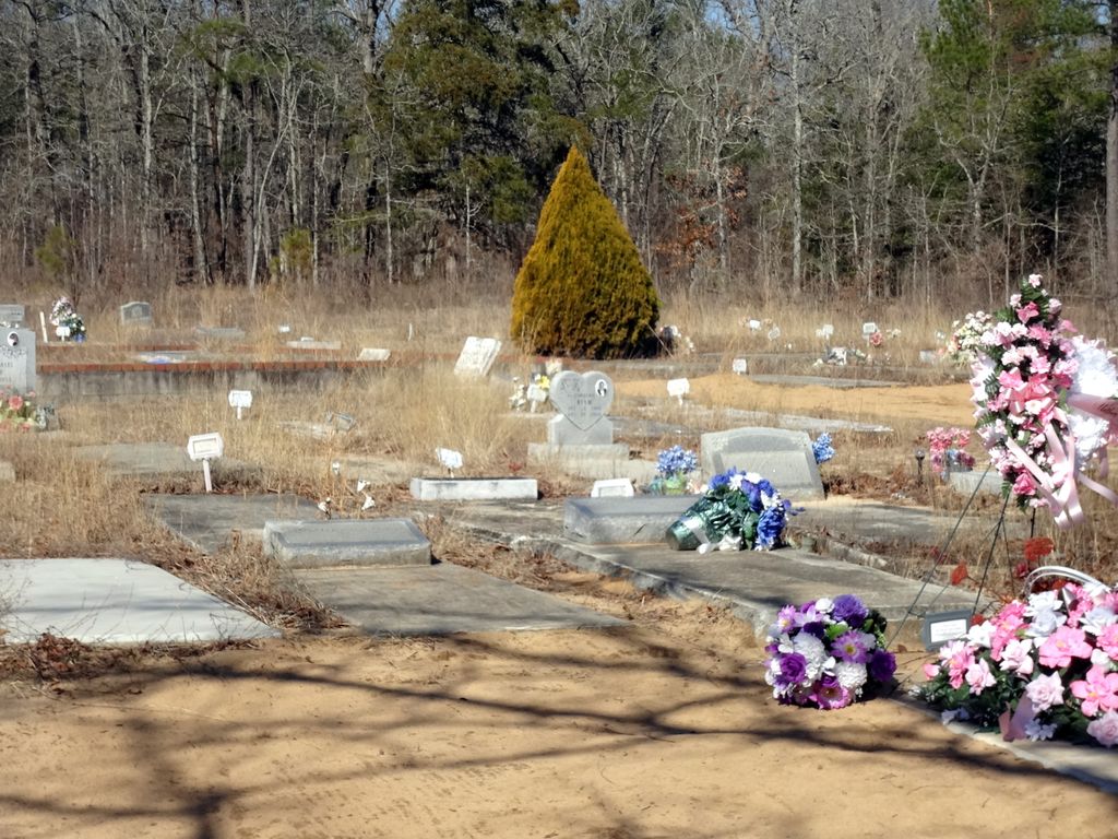 Holly Spring Missionary Baptist Church Cemetery