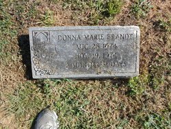 Donna Marie Brandt 