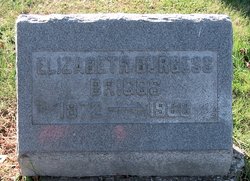 Elizabeth <I>Burgess</I> Briggs 