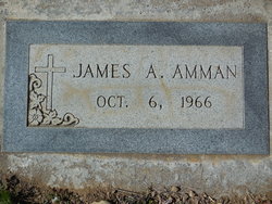 James Alexander Amman 