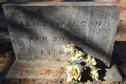 Alice Wilson 