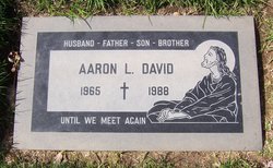 Aaron L David 