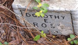 Dorothy E. Rose 